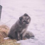 2025104期双色球开奖号码结果正式公布 395ixq