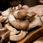 2025109期开奖公告:幸运号码即将揭晓 7wz3fb4c