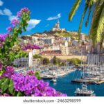 2025096期开奖结果最新公布与详细查询 bal0deyi1