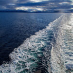 2025082期开奖公告:幸运号码即将揭晓 l4ij7553