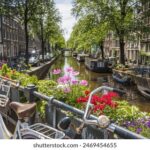 2025094期双色球开奖时间具体安排公布 nhhxlwsk2