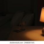 2025088期马开奖结果最新公布查询 pvdua