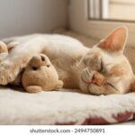 2025096期双色球开奖号码最新公布结果查询 r2hwluo