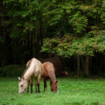 2025091期开奖视频全程高清回放与中奖号码公布 r7mm8ip8