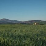 2025090期开奖结果正式公布,大奖花落谁家? u0oecpqw6c