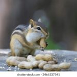 2025108期彩票开奖结果最新公布 ujd1yt3