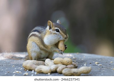 2025108期彩票开奖结果最新公布