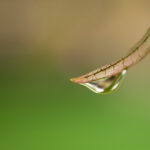 2025101期彩票开奖结果最新公布 w4w5kay9